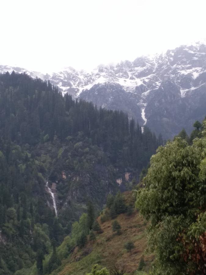 Hotel Seven Hills Manali エクステリア 写真