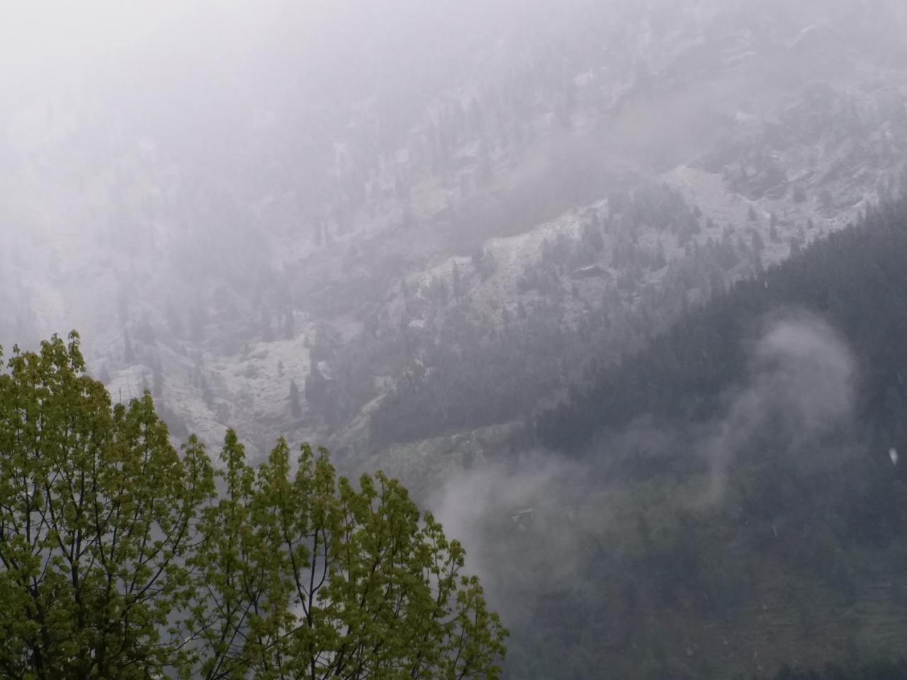 Hotel Seven Hills Manali エクステリア 写真