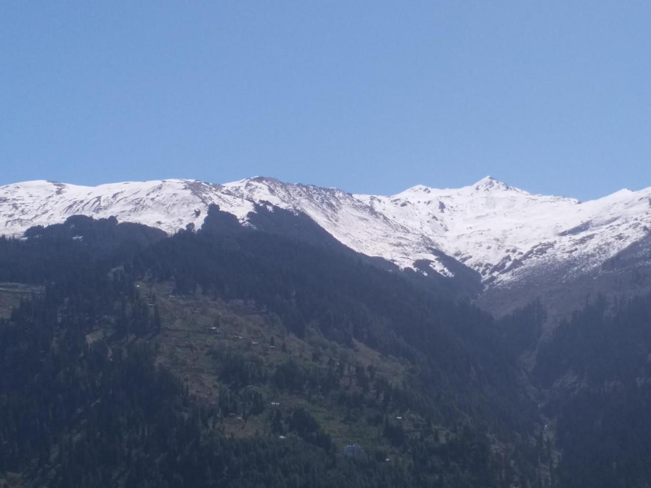 Hotel Seven Hills Manali エクステリア 写真