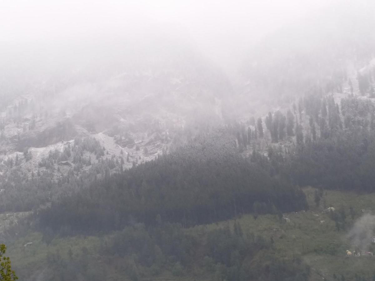 Hotel Seven Hills Manali エクステリア 写真